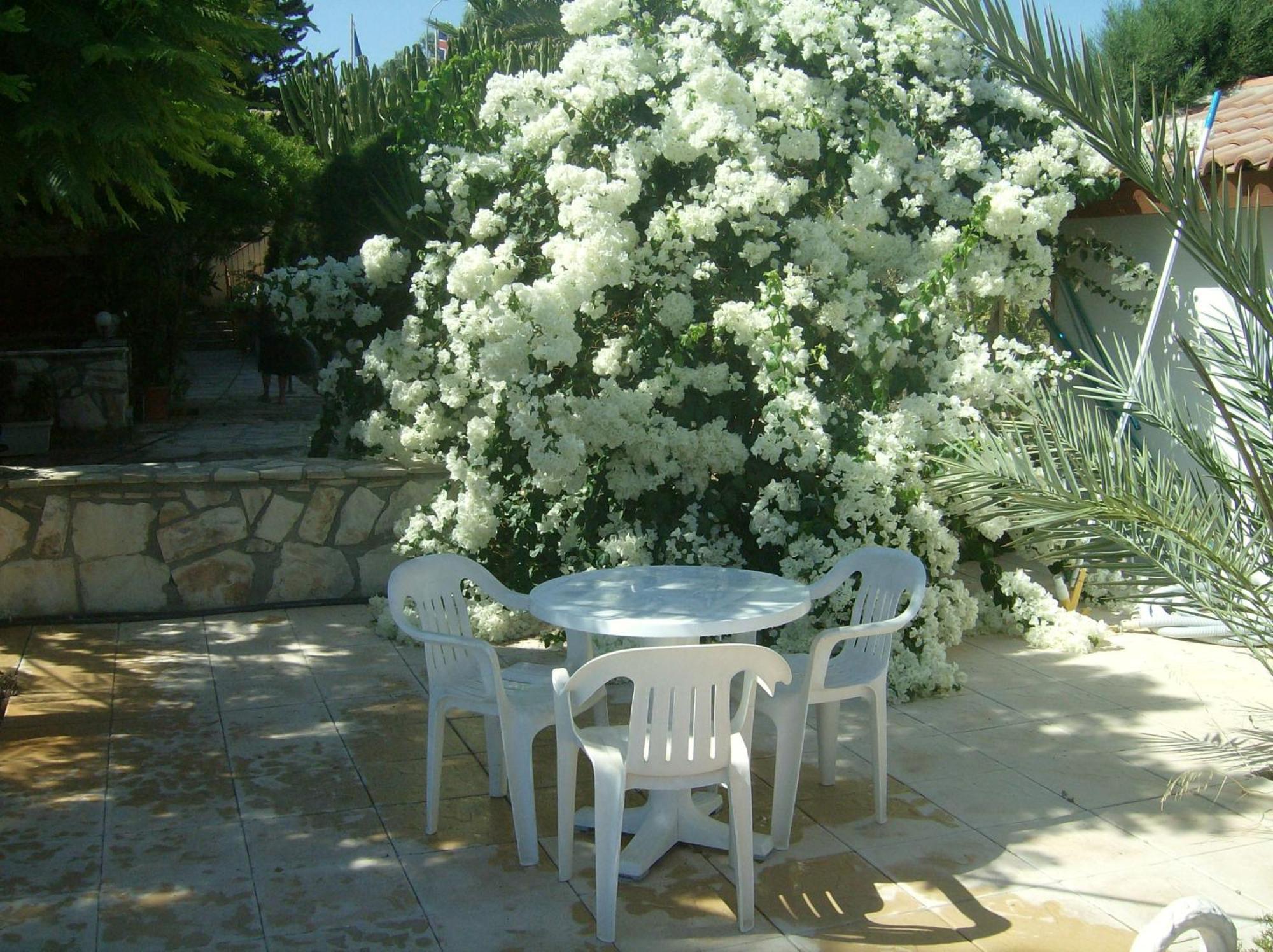 Rantzo Holiday Apartments Πισσούρι Εξωτερικό φωτογραφία